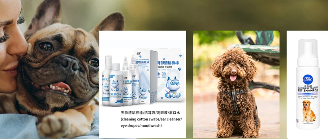 Pet Dry Shampoo Deodorant Fragrance Pet Cleaning Grooming Products Bubble Mousse Dog Shampoo